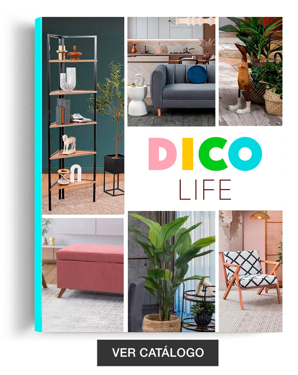 dico_life