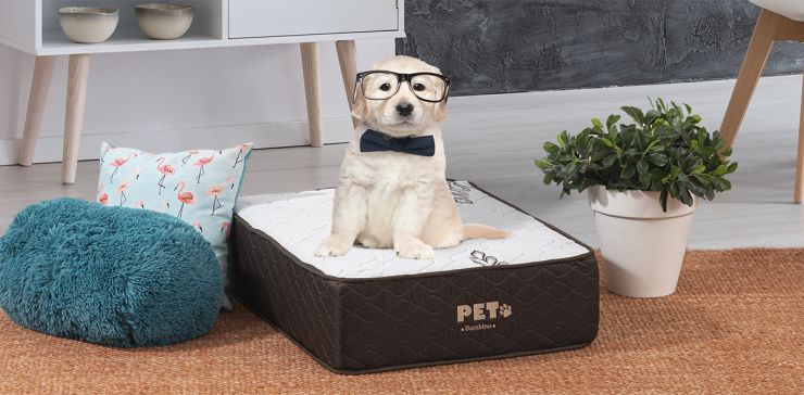 Colchón Pet Bambino Brown Firme