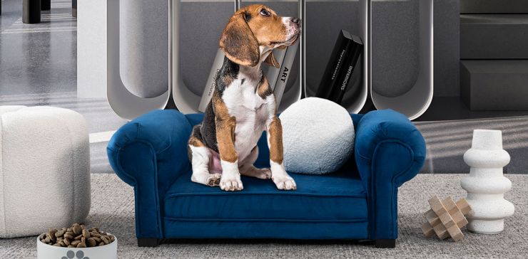 Cama Pet Lizza Azul