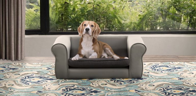 Sillon para sales perro muebles dico