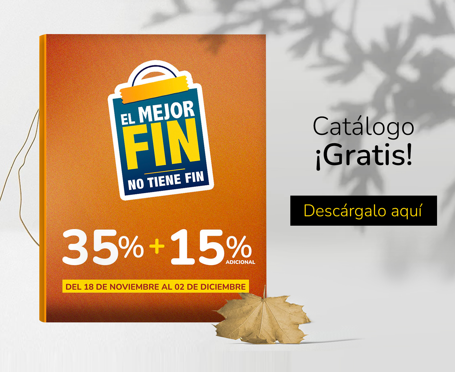 catalogo-mfNOf-bajio