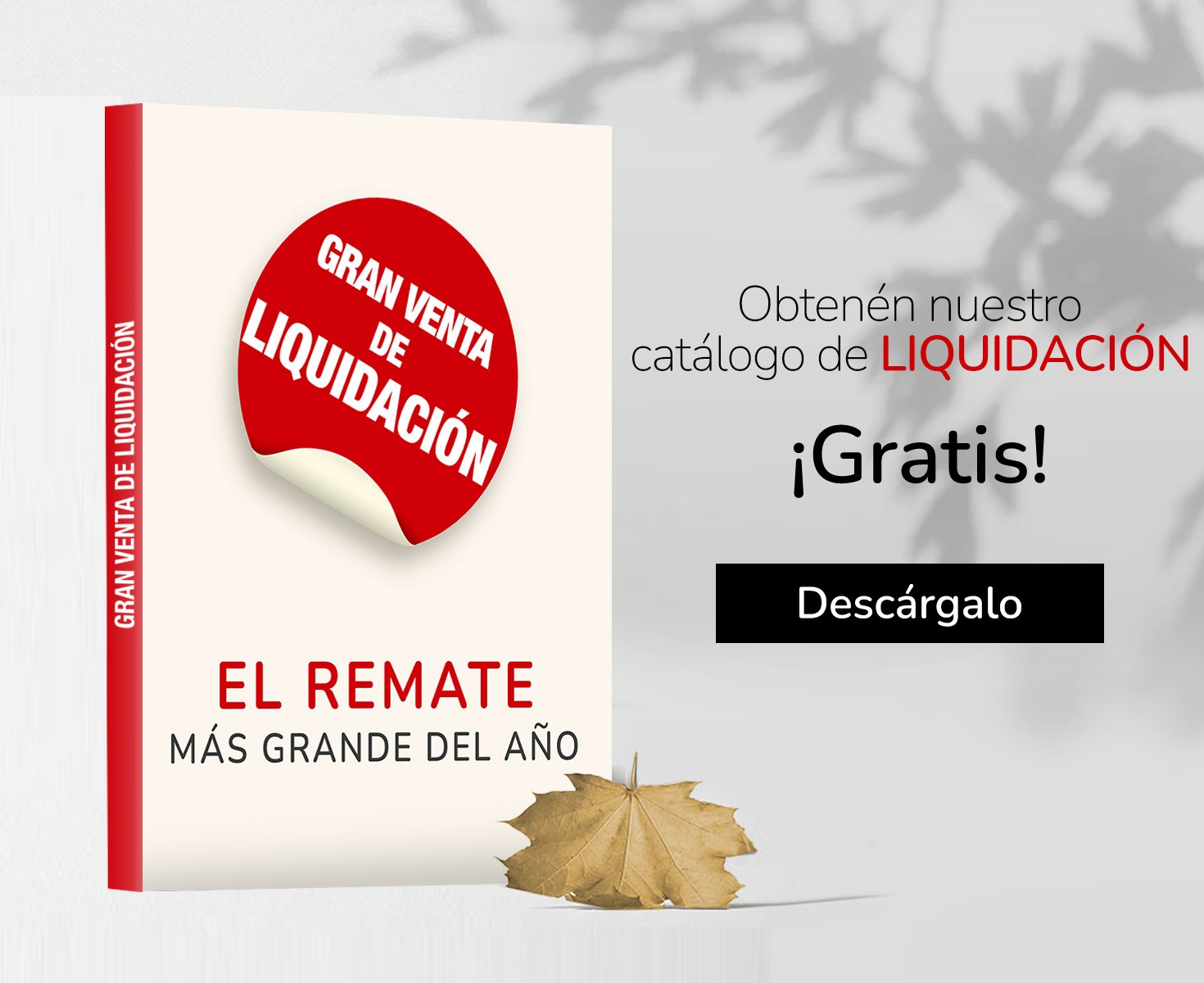 thumbnail_BN-MOV-catalogo-liquidacion