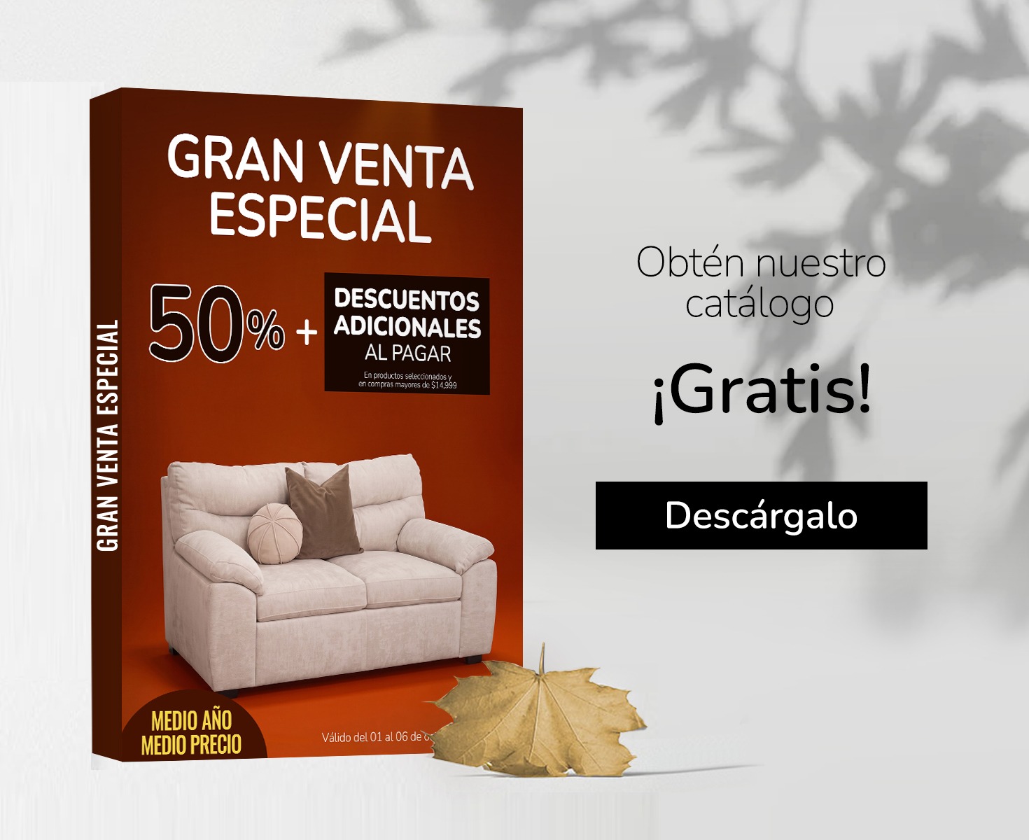 01-06-oct-bn-catalogo-ve-mov