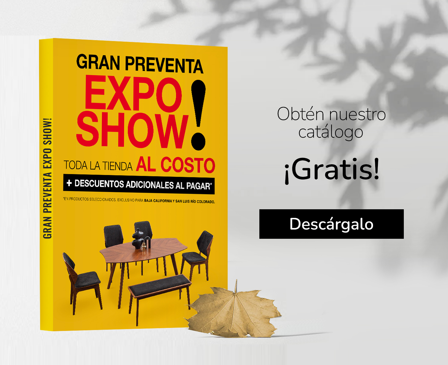 24-jul-bn-catalogo-prees-nte-mov