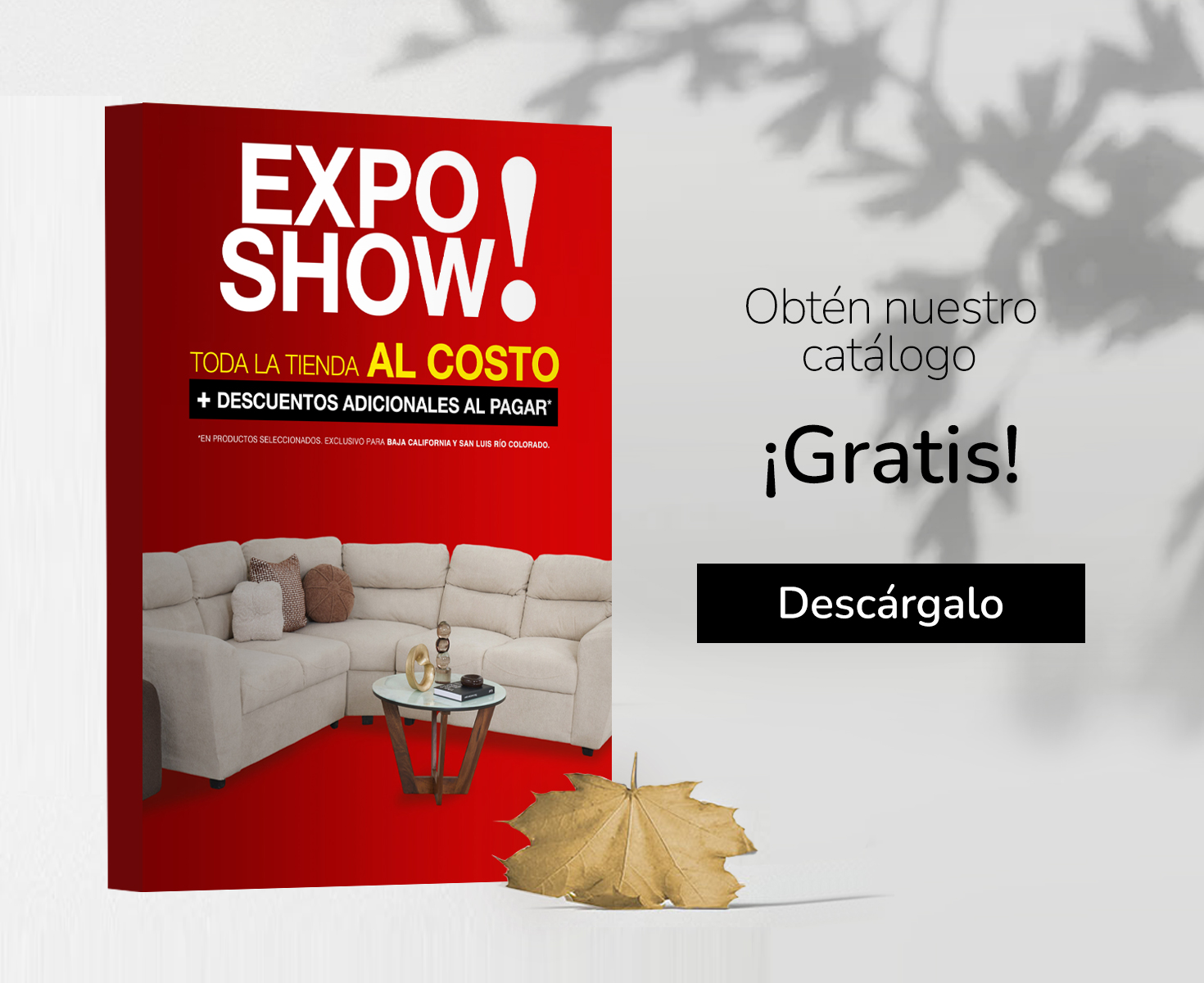 31-jul-bn-catalogo-es-nte-mov