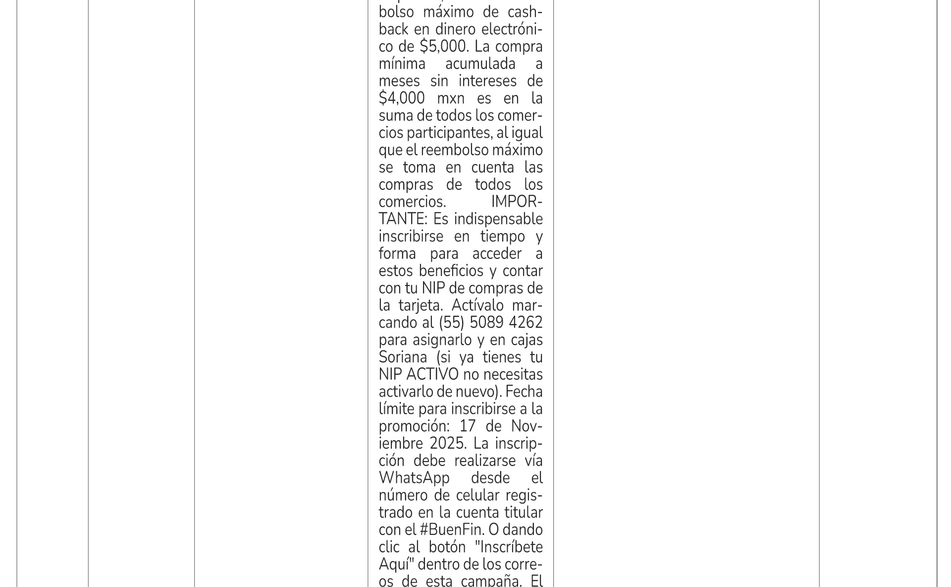 terminosyc-2025-BF_010